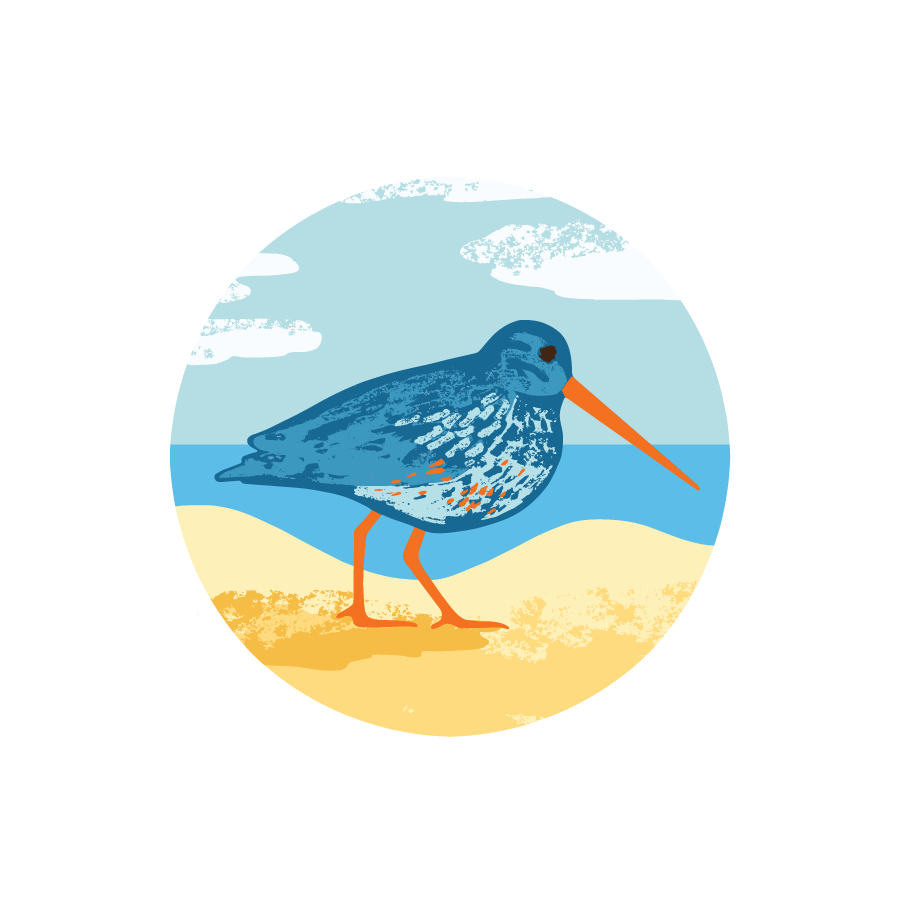 Charlie's Beach School Exmouth